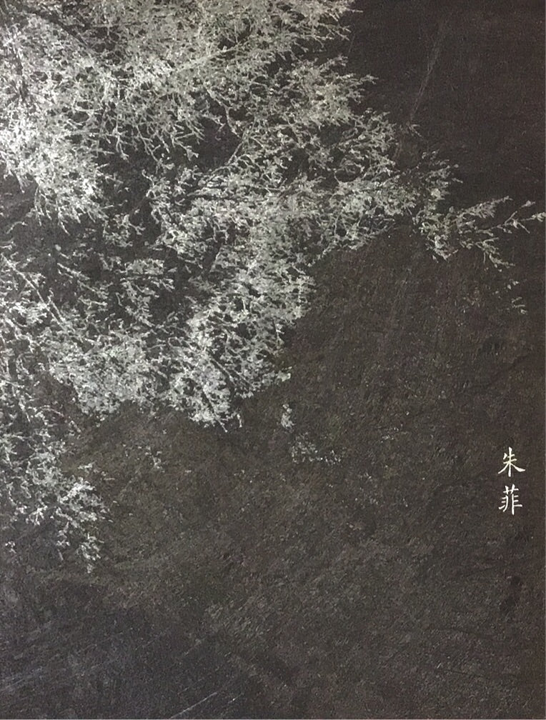 一定曾經有狂喜,才讓追逐深深寫進基因裡