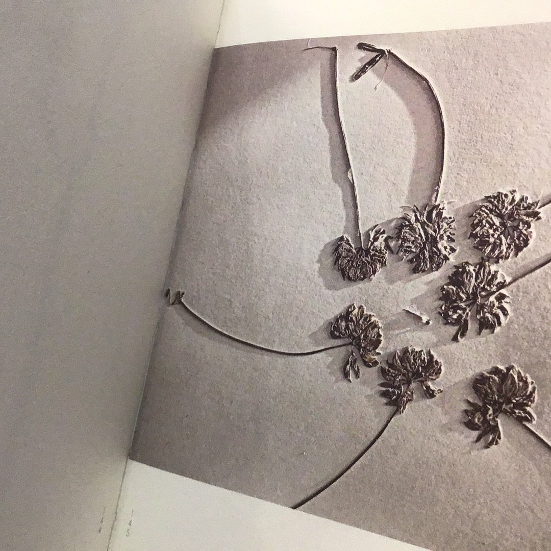 Leaves of Grass