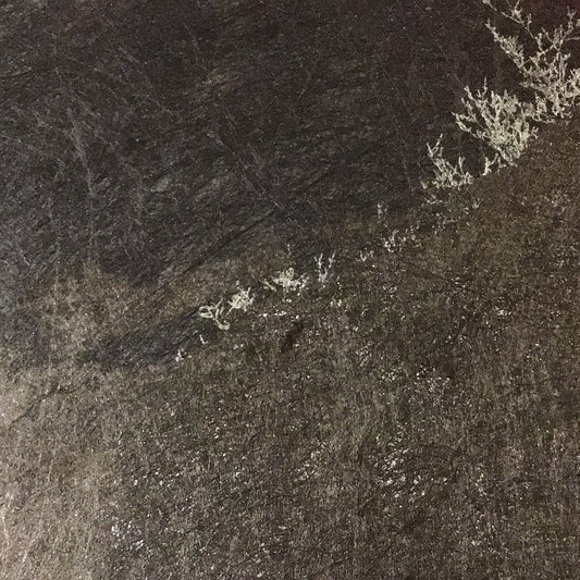 一定曾經有狂喜,才讓追逐深深寫進基因裡