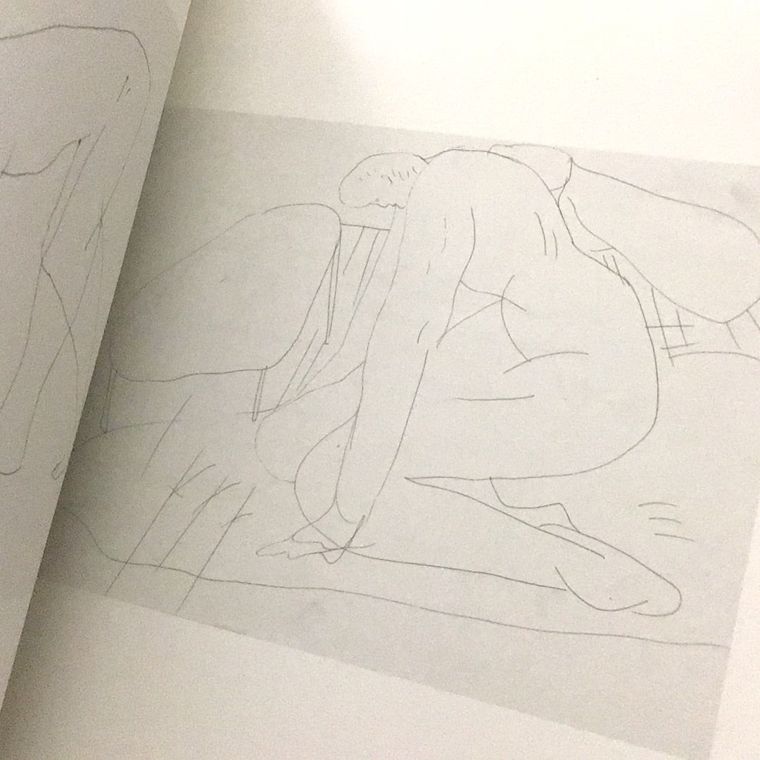 Phototropism: Sketch and Drawing by Firenze Lai