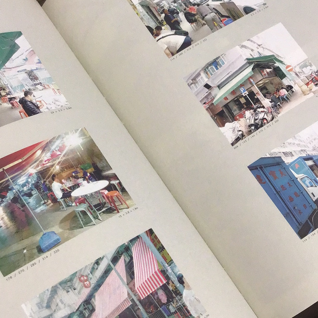 The environment. Schema - Hong Kong Urban Spatial Atlas