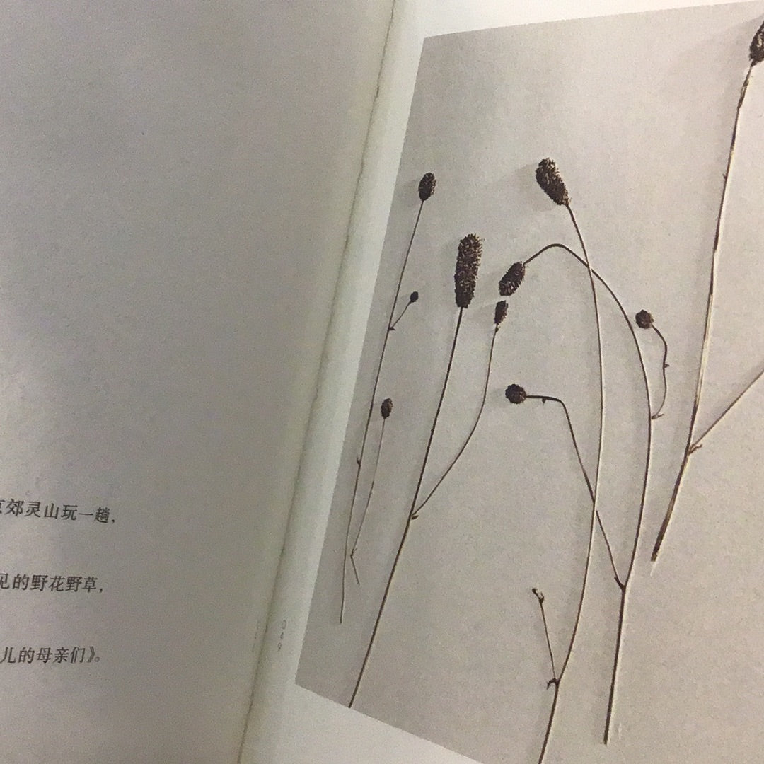 Leaves of Grass