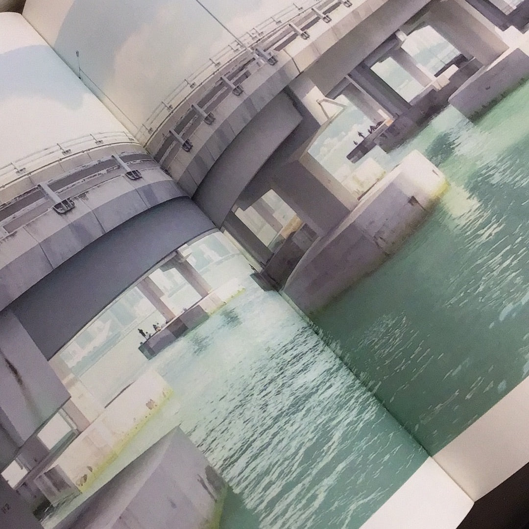 The environment. Schema - Hong Kong Urban Spatial Atlas