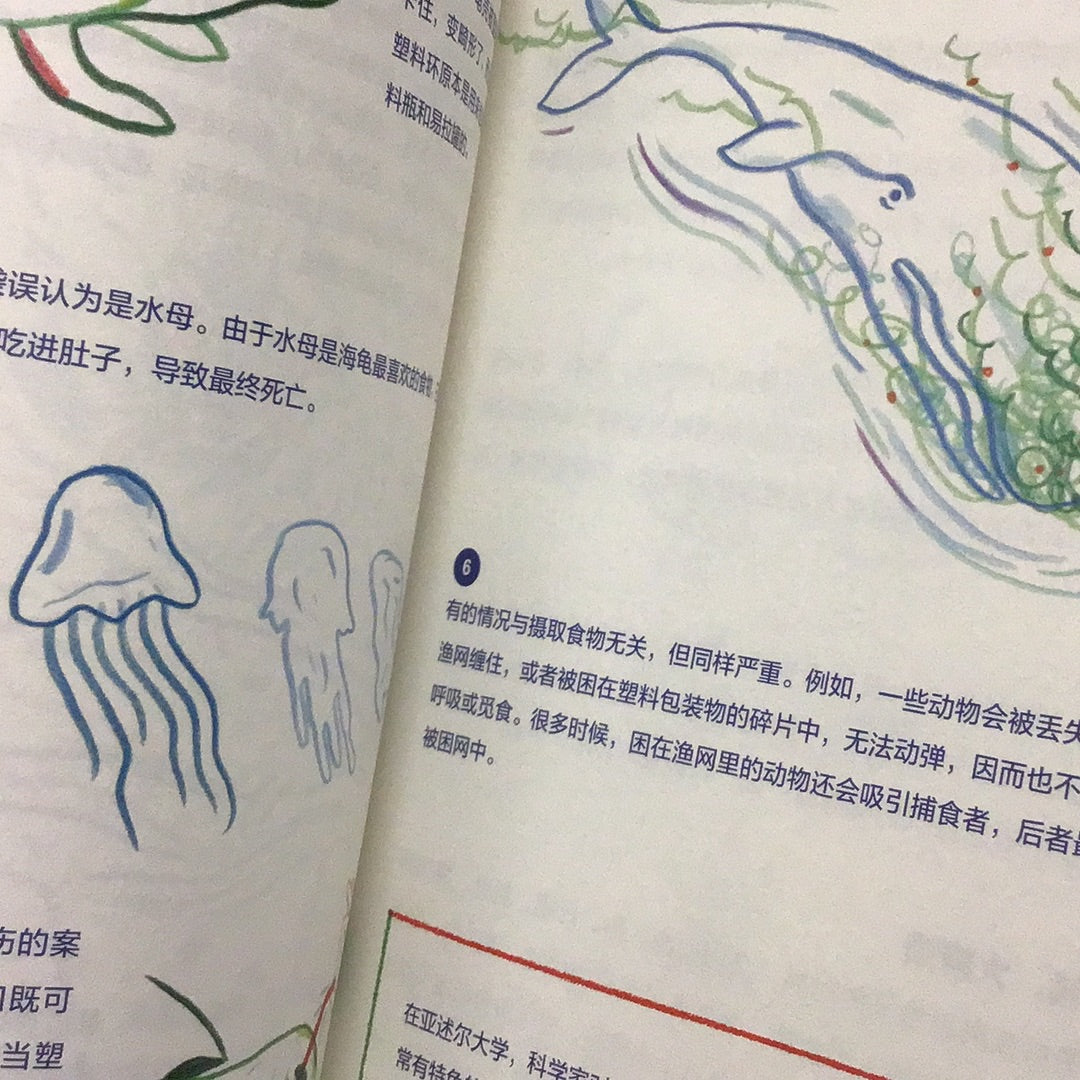 海洋塑料:一個入侵物種