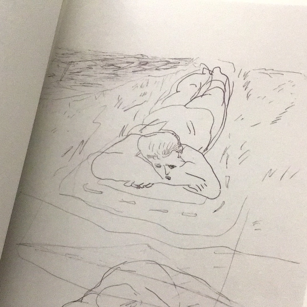 Phototropism: Sketch and Drawing by Firenze Lai