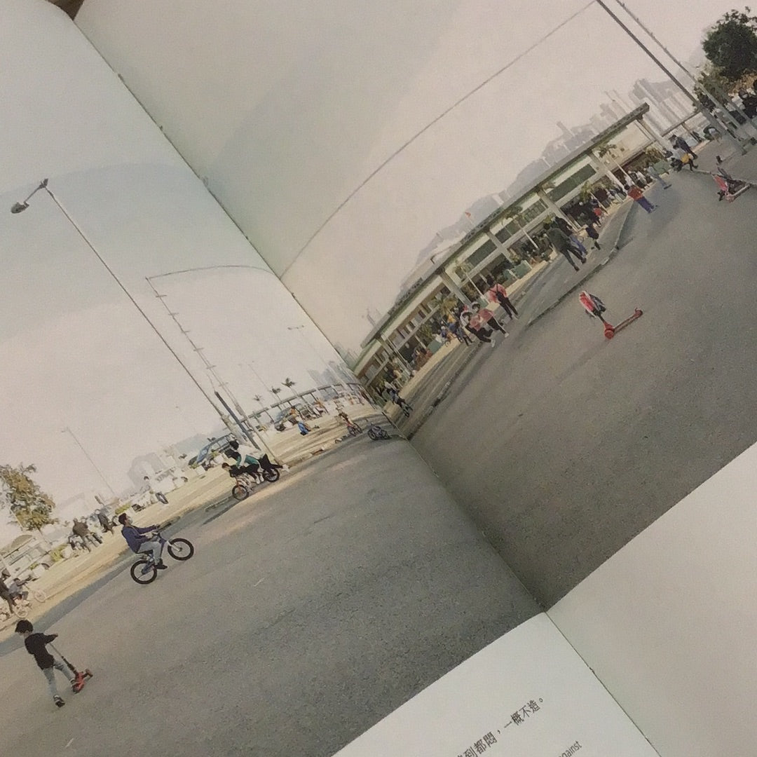 The environment. Schema - Hong Kong Urban Spatial Atlas