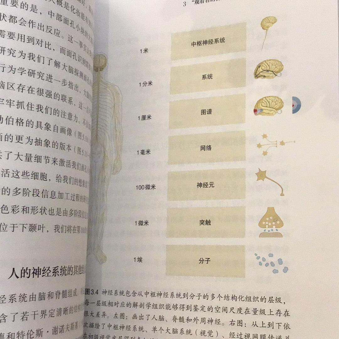 為什麼你看不𢤦抽象畫