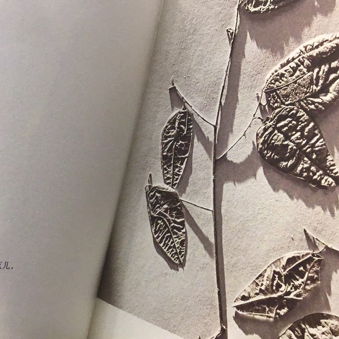 Leaves of Grass