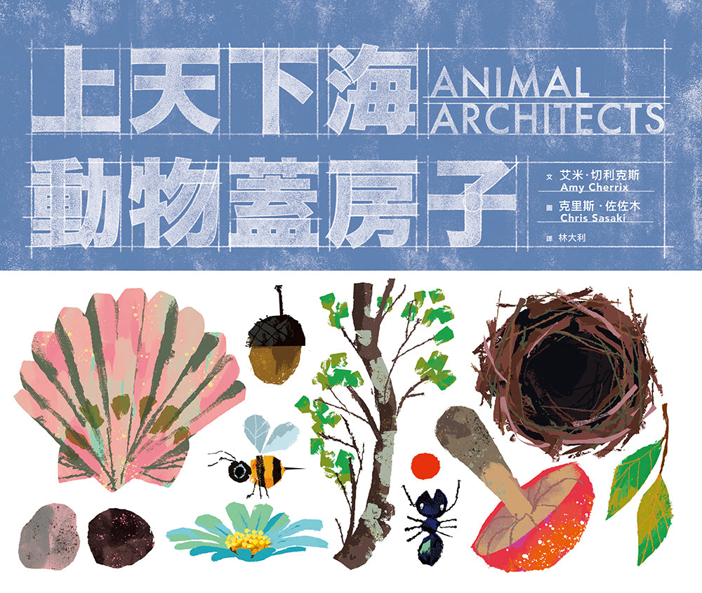 Up and down sea animals build houses