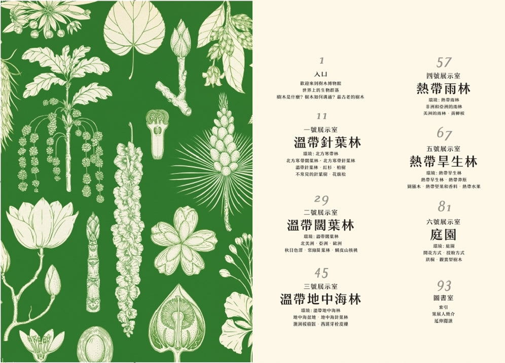 樹木博物館(Arboretum)