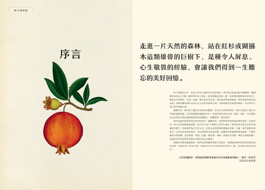 樹木博物館(Arboretum)