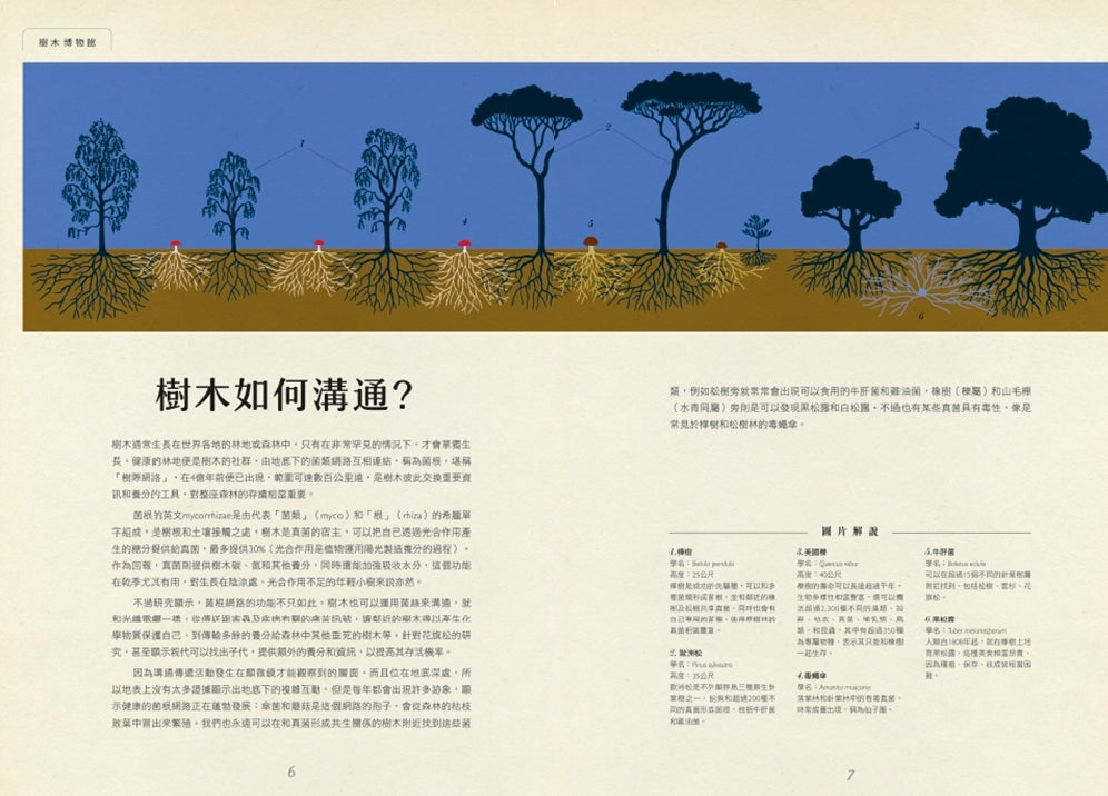 樹木博物館(Arboretum)