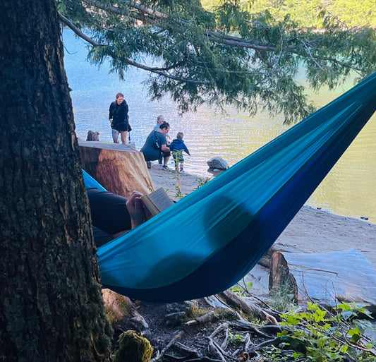 【居加生活】大溫的圖書館：一窺移民內心風景