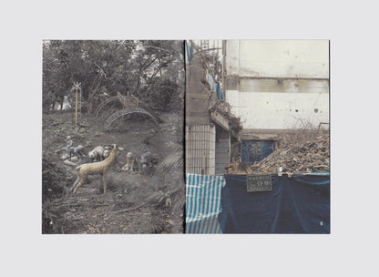 送客的先生女士請不要上車（Non‑passengers, please do not board.）