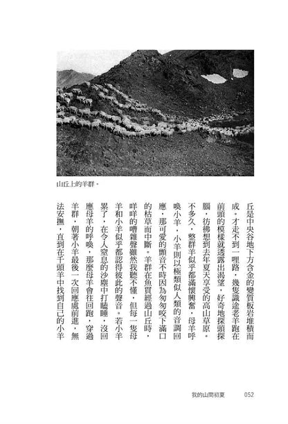 我的山間初夏：國家公園之父約翰．繆爾的啟蒙手記
