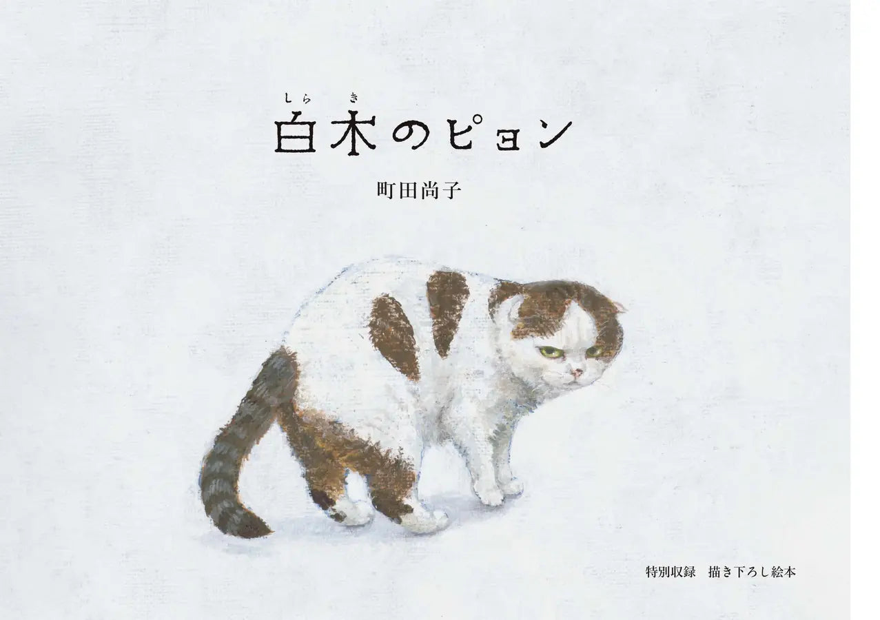 町田尚子画：隙あらば猫