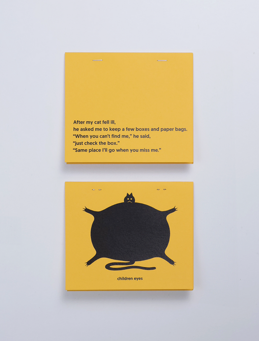 After my cat fell ill