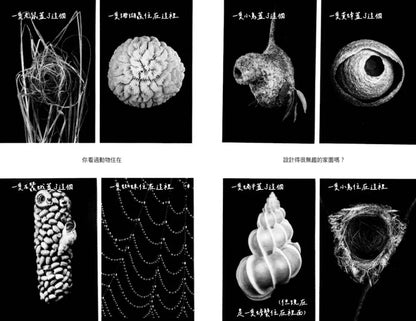 人本建築：一位匠造者的世界建設指南