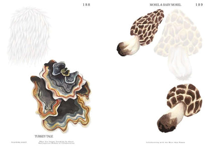 Let's Become Fungal!: Mycelium Teachings and the Arts