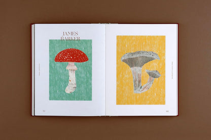 Fungal Inspiration : Art and Illustration Inspired by Wild Nature
