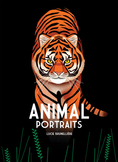 Animal Portraits