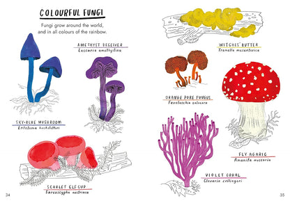 Hello Fungi : A little Guide to Nature