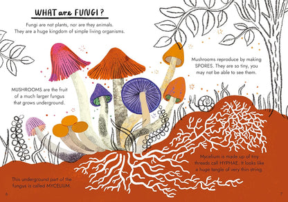 Hello Fungi : A little Guide to Nature