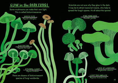 Hello Fungi : A little Guide to Nature