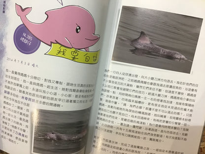 海豚三十——聽豚說故事