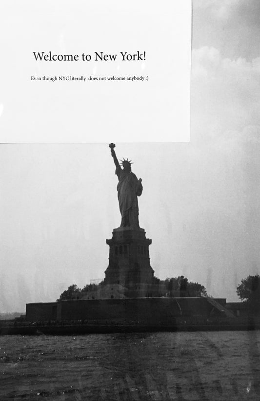 American Plog vol. 4 Welcome to New York! Even though NYC does not welcome anybody :)