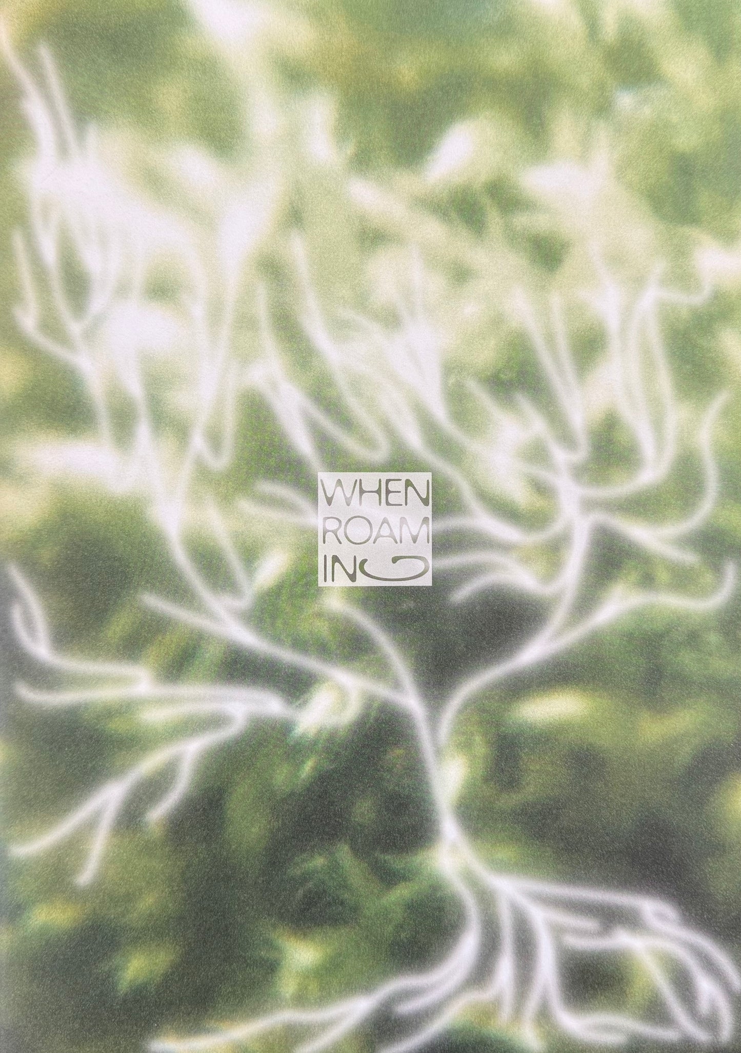When Roaming