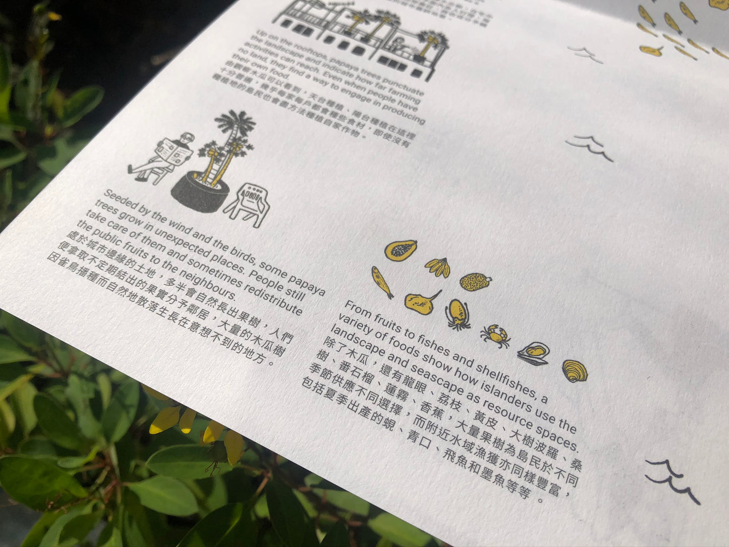 ISSUE #02 NOURISHING LAND 「豐饒之地」