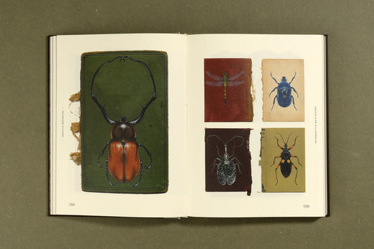 Insectile Inspiration : Insects in Art and Illustration