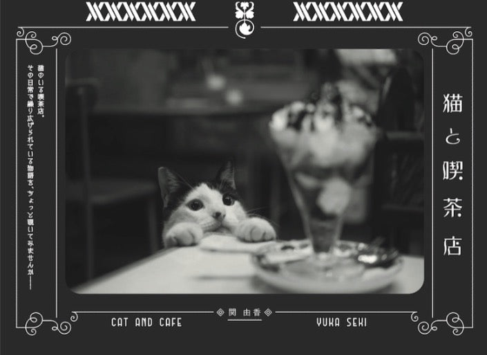 cat and tea shop