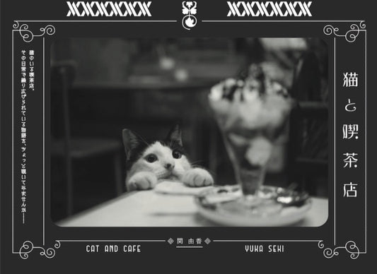 cat and tea shop