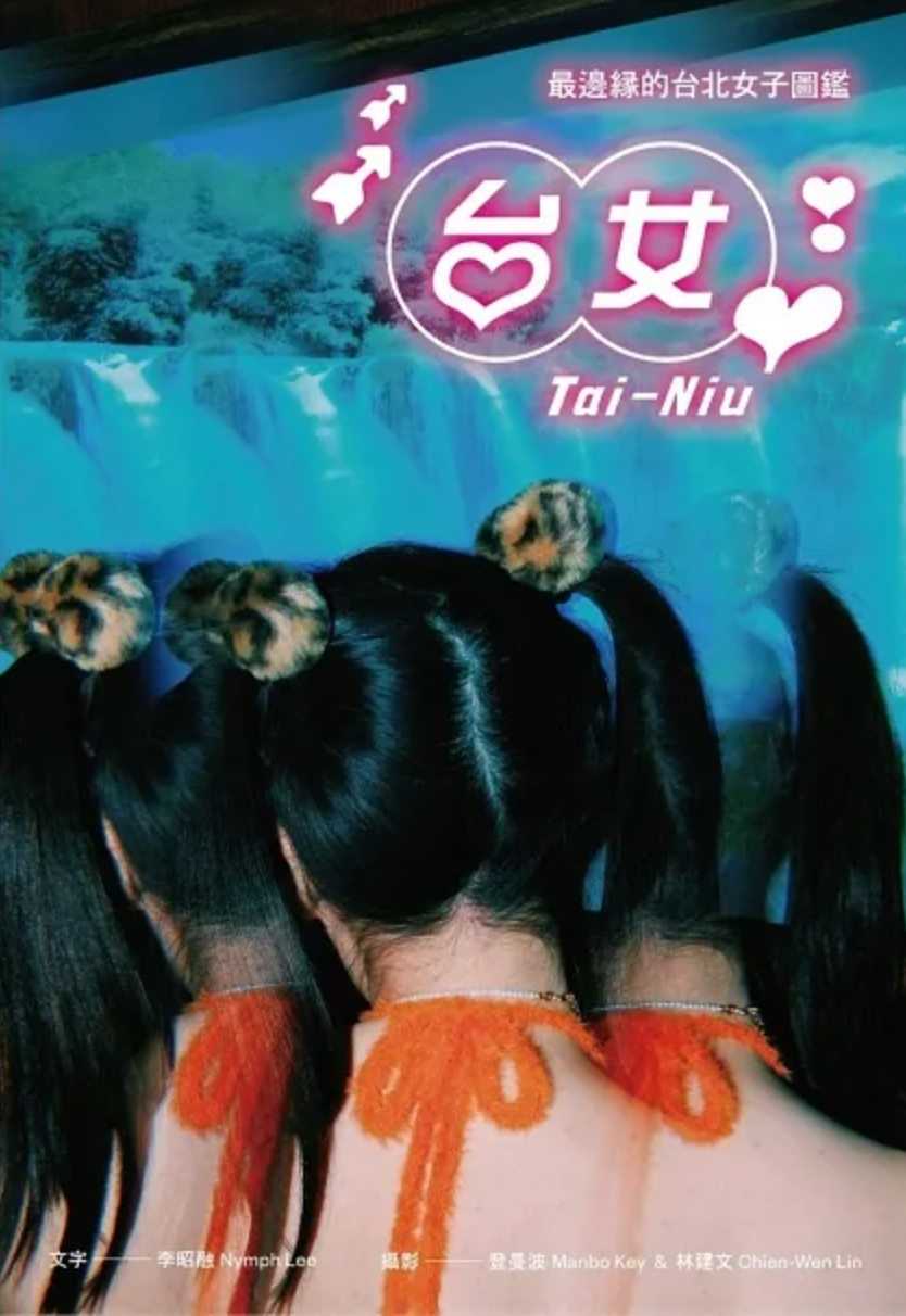 Taiwanese Girl Tai-Niu: Illustrated Guide to the Most Fringe Taipei Women