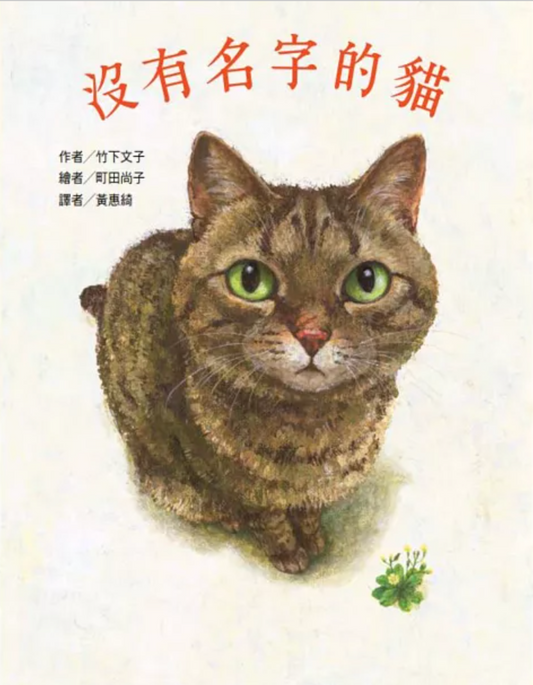 cat with no name
