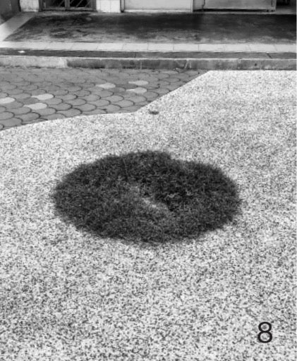 Forming Cityscapes #8: Plants