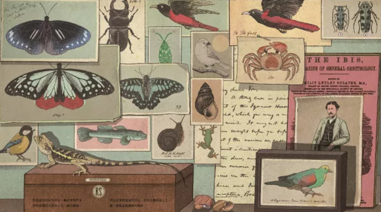 捉迷藏