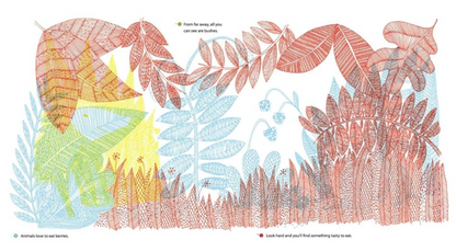 What's Hidden in the Woods?