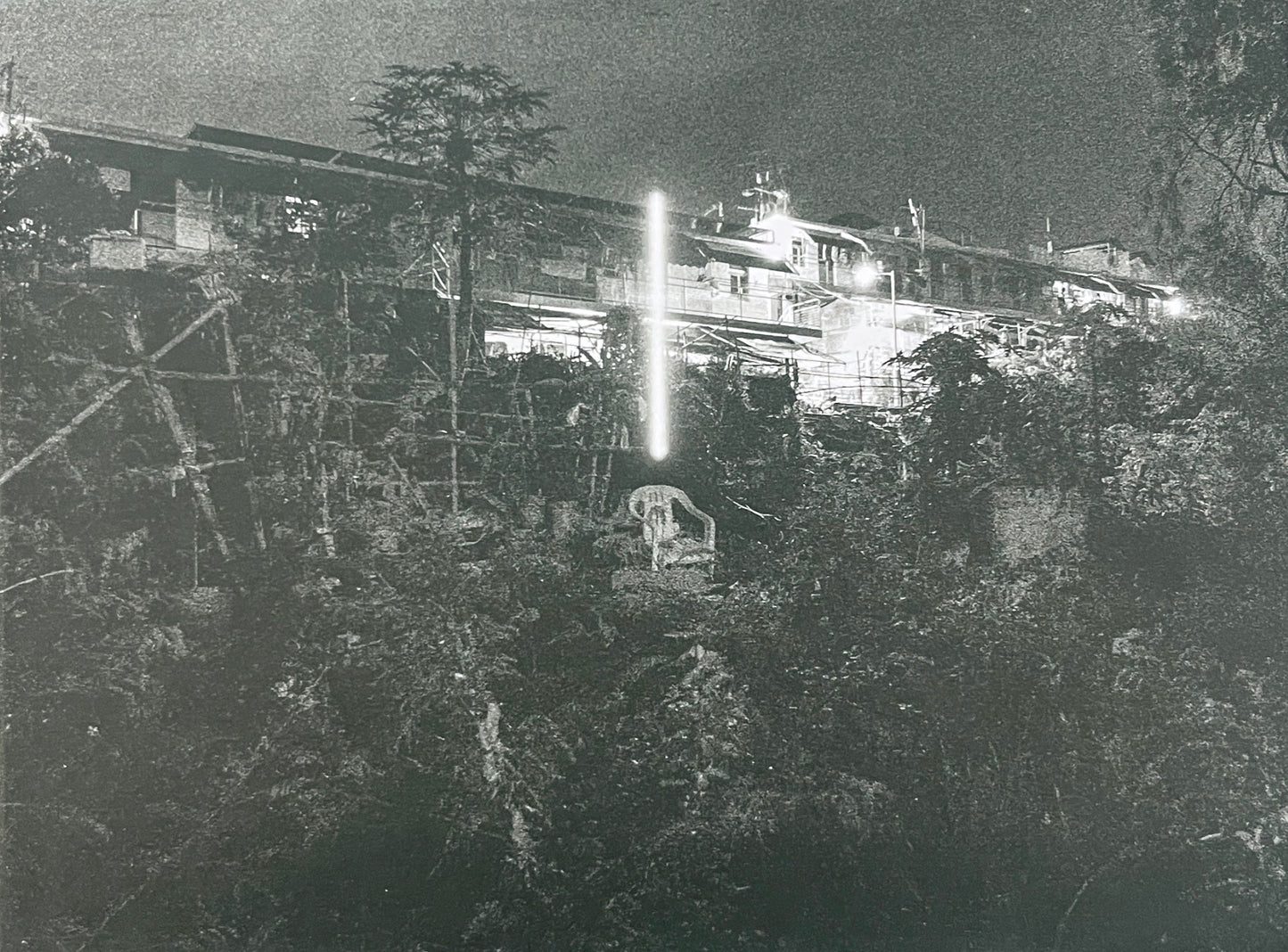 ⼈類未覺知的愛情