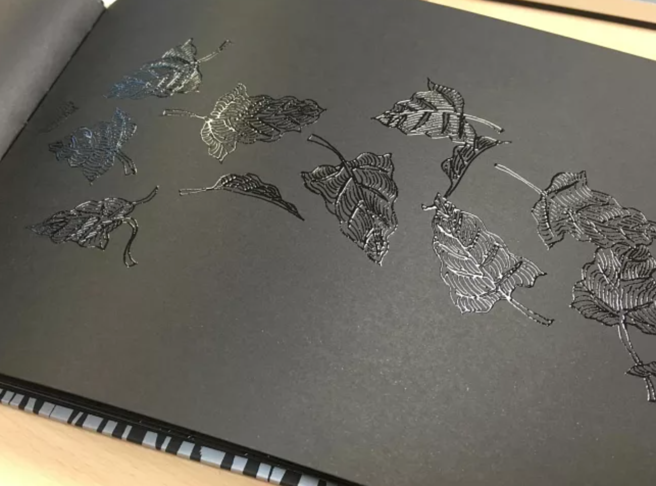 這是一本有顏色的書