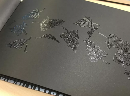 這是一本有顏色的書