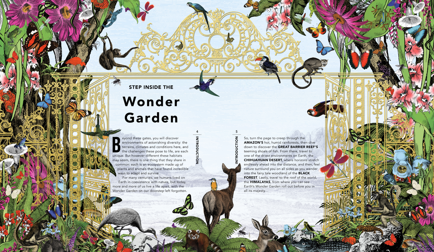 The Wonder Garden : Wander Through 5 Habitats to Discover 80 Amazing Animals