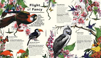 The Wonder Garden : Wander Through 5 Habitats to Discover 80 Amazing Animals