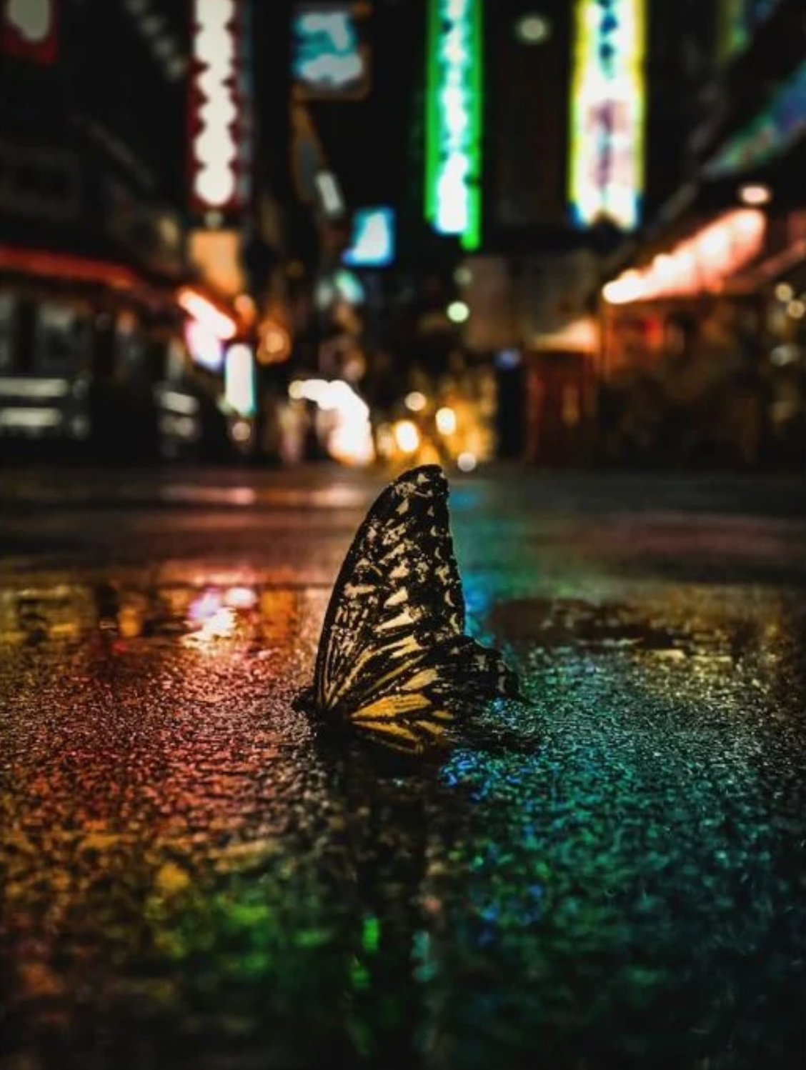 omi kim Photo Works: Osaka Romantics