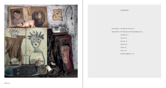 Roger Ballen: Spirits and Spaces