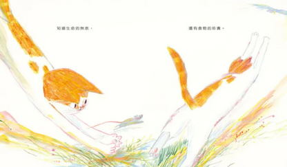 貓什麼都知道