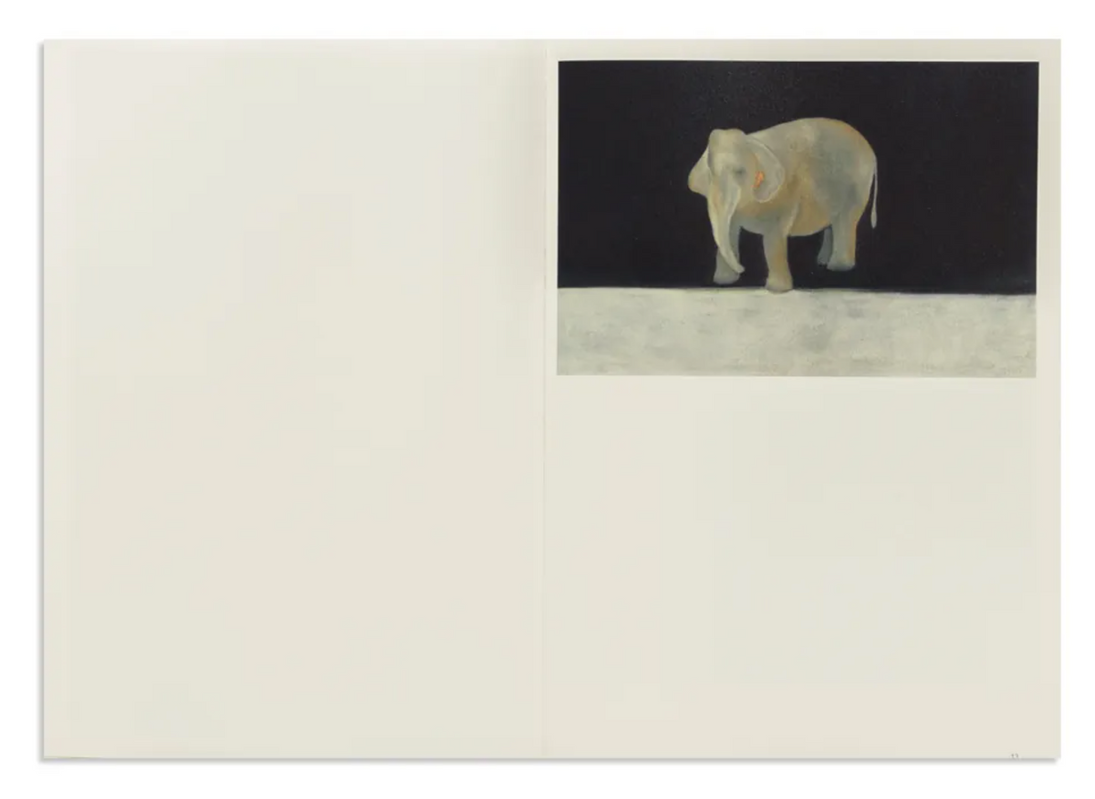 風與髮型