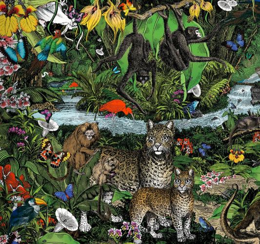 The Wonder Garden : Wander Through 5 Habitats to Discover 80 Amazing Animals